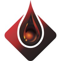 PetroLead Technologies logo - Similar company to Mseis