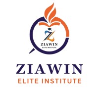 Ziawin Elite Institute logo - Similar company to Vika Technologies