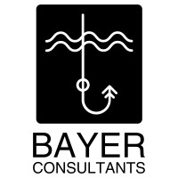 Bayer Consultants logo - Similar company to Firsttech