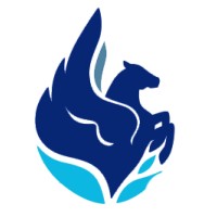 pegasus consulting italia logo - Similar company to Gso | Outsourcing Services