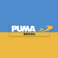Puma Brasil logo - Similar company to Fluir