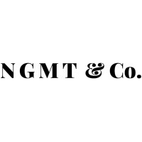 NGMT & Co logo - Similar company to Dev Engineers ( Devpumps  )