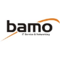 Bamo It Service & Networking