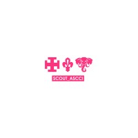 Association des Scouts Catholiques de Côte d'Ivoire-ASCCI logo - Similar company to Valamulli