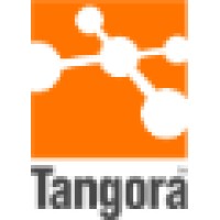Tangora Software A/S logo - Similar company to Dencrypt