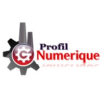 PROFIL NUMERIQUE logo - Similar company to Aracte Guyane