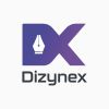 Dizynex logo - Similar company to Avocado Tech