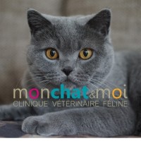 Mon chat & Moi logo - Similar company to Sürpriz