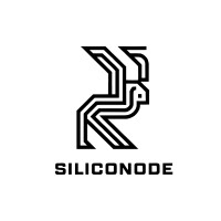 SilicoNode logo - Similar company to Bridges Ai