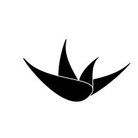 STR Drones logo - Similar company to Intedig - Drones