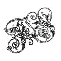 Forloren Skildpadde logo - Similar company to Willy