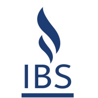 The IBS Group logo - Similar company to Webburner India