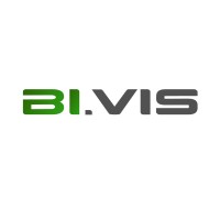 BI.VIS logo - Similar company to Data Floss