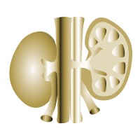 NEPHROLOGY ASSOCIATES OF SYRACUSE, P.C. logo - Similar company to Vero Orthopaedics