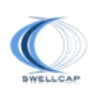 Swellcap logo - Similar company to Consensus Fintech Group
