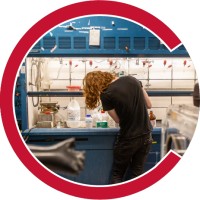 Cornell Materials Science and Engineering logo - Similar company to Cornell Engineering Master Of Engineering