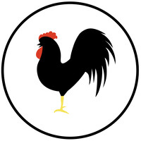 Black Rooster