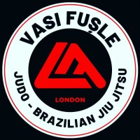 Vasi Fușle Academy - Judo Brazilian Jiu Jitsu logo - Similar company to Wave Brazilian Jiu Jitsu