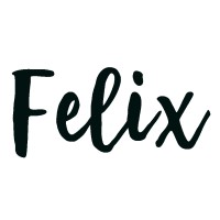 Felix Orion logo - Similar company to Webbuzz Digital