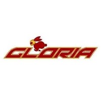 Gloria Srl logo - Similar company to Control - Race Winning Telemetry