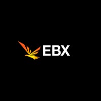 Eurasia Blockchain eXchange (AIFC Participant) logo - Similar company to Brillink Bank