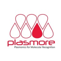 Plasmore S.r.l. logo - Similar company to Somiro Project