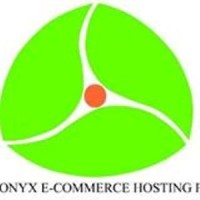 Centreonyx Ecommerce Hosting Private Limited.Jodhpur logo - Similar company to Curio Art Co.