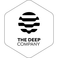 The Deep Company SAS logo - Similar company to B-Frost