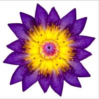 ASPSNIPPETS Pvt. Ltd. logo - Similar company to Digital Advanced Software Pvt. Ltd.