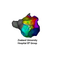 Zealand University Hospital EP Group logo - Similar company to Dsth Dk