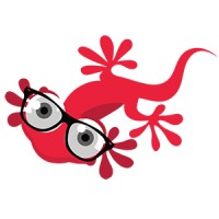 Smart Gecko Software Development (Pty) Ltd logo - Similar company to Carbon Software Development