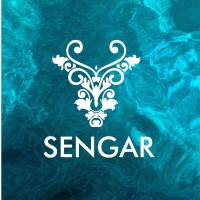 SENGAR logo - Similar company to Rkgitwe - An Entrepreneur Club Of Rkgit Ghaziabad.