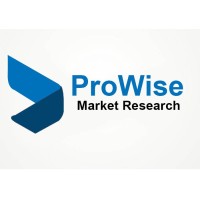 ProWise Market Research logo - Similar company to Equation Research
