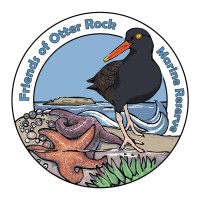 Friends Of Otter Rock Marine Reserve
