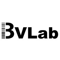 BV Lab logo - Similar company to Mahaam