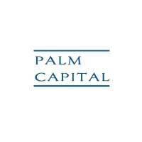 Palm Capital Advisors Ltd logo - Similar company to Silver Lion Capital Partners