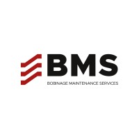 BMS logo - Similar company to Gescaser