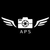 Aerial Perspectives Studios logo - Similar company to Wolfhill Consulting