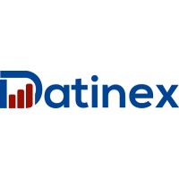 Datinex GmbH logo - Similar company to Näxt Consult Gmbh