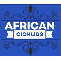 African Cichlids logo - Similar company to Allow-E Energia Inteligente