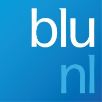 BLU-NL Consulting logo - Similar company to Minerva Development