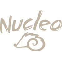 Nucleo Kids logo - Similar company to Nico Spa