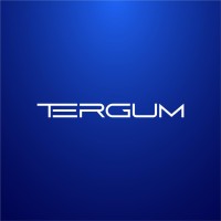 Tergum logo - Similar company to Iderotech