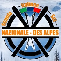 SCUOLA ITALIANA SCI NAZIONALE DES ALPES logo - Similar company to Ski School Ccm Campiglio