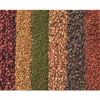Simlaw Seeds Company Ltd logo - Similar company to Simlawn Llc