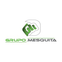 Grupo Mesquita, SA logo - Similar company to Skyverse
