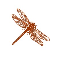 Dragonfly Nutrition LLC logo - Similar company to Caelus Llc