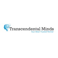 Transcendental Minds logo - Similar company to Digital Tek Software
