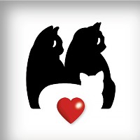 SIRONI GD&P logo - Similar company to Out Of The Blu – Beyond Live Communication