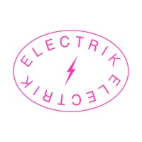 Electrik Skin Productions logo - Similar company to Dauntless, Llc